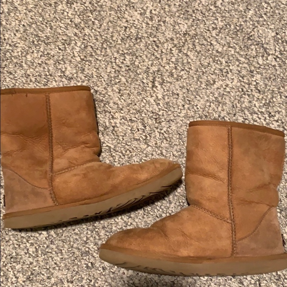 Chestnut Classic Short Uggs